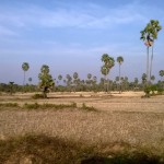 my cambodia!