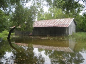 kbal flood 5