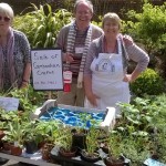 plant sale 2015